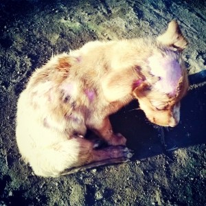 InstagramCapture_0f9fedb3-1bb7-4998-8c86-a403c160efb0[1]