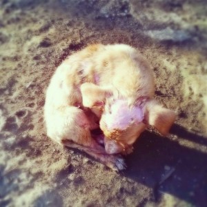 InstagramCapture_7c183c34-1e2e-4bbd-9d0b-304ed7b213ff[1]