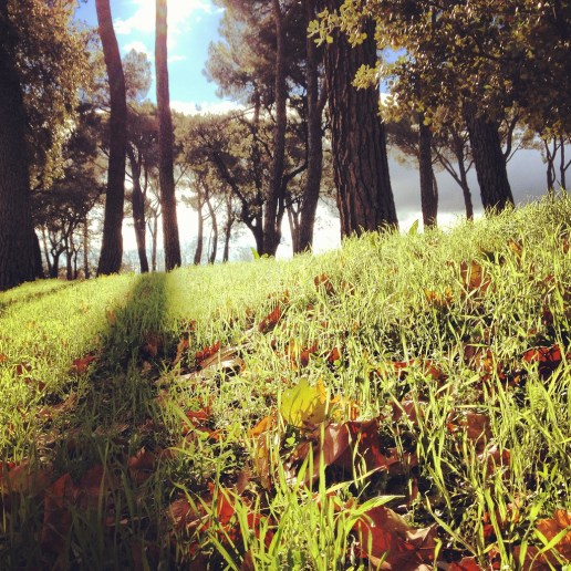 8239377112_28ebc18627_b