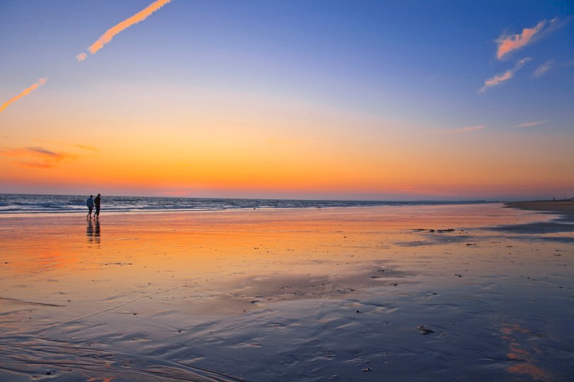 4480795941_83c8025f69_b