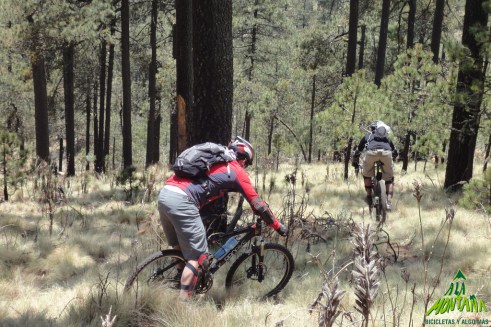 4594291518_d9346efe81_b