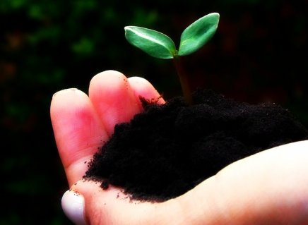 3483310931_0bb8ae7bf5_o-1